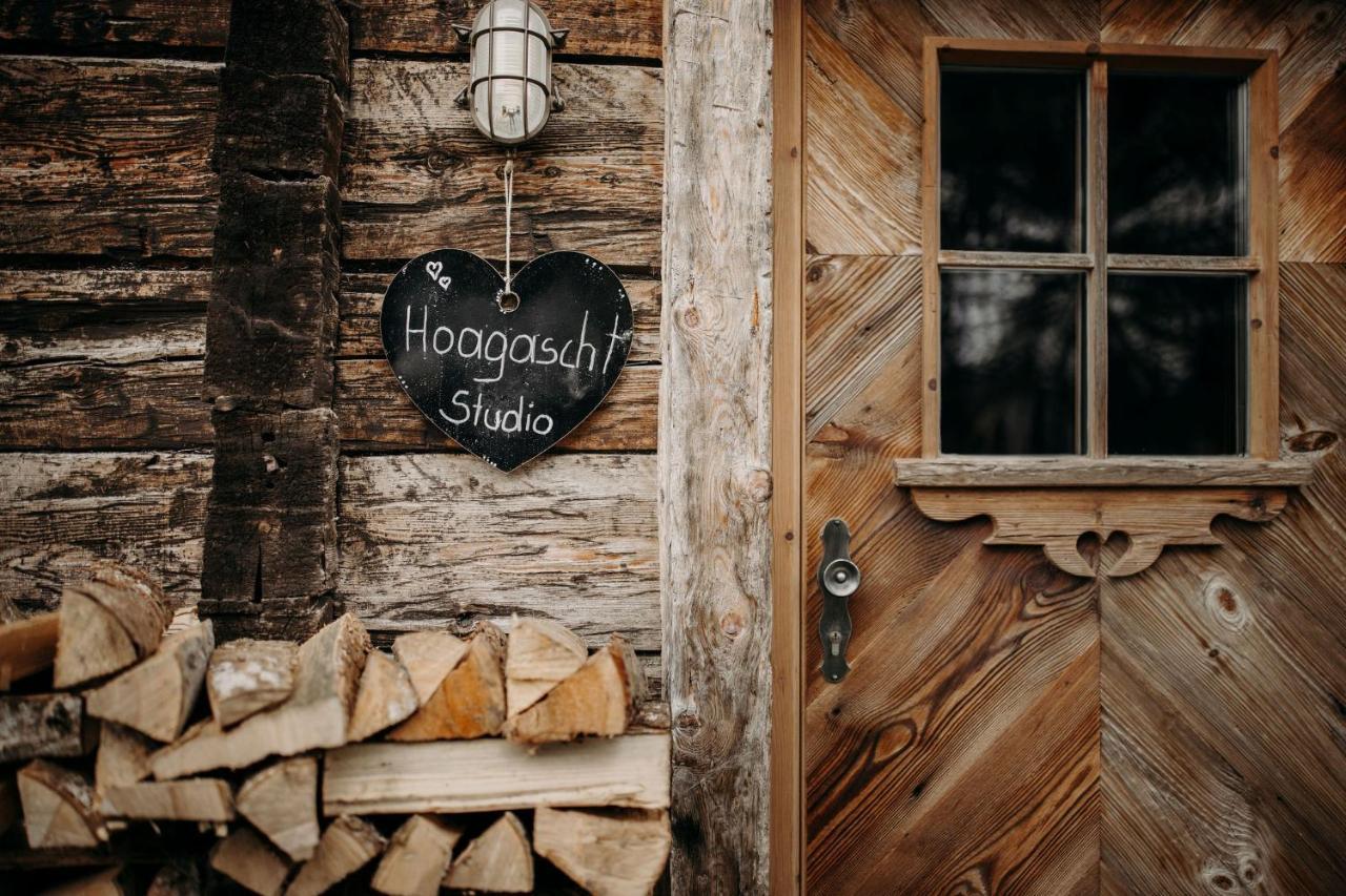 Hoagascht Daire Flachau Dış mekan fotoğraf